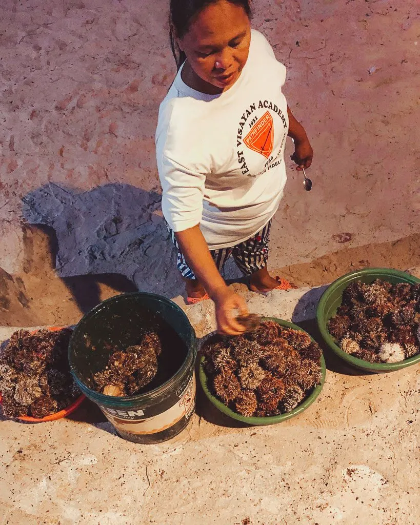Sea urchin seller