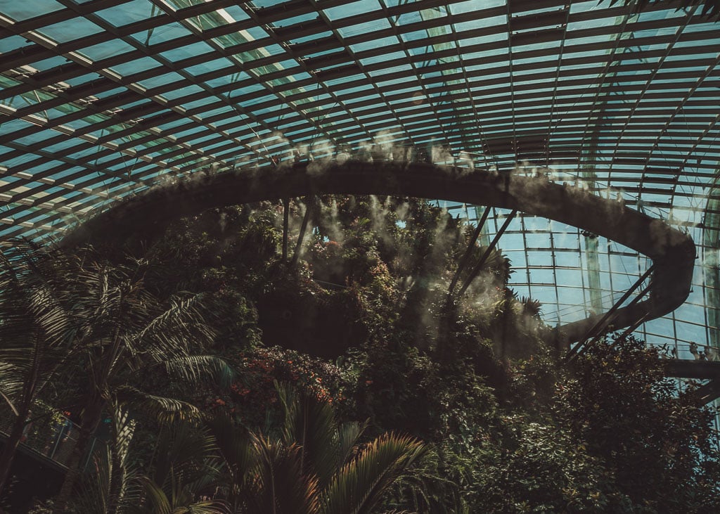 Cloud Forest
