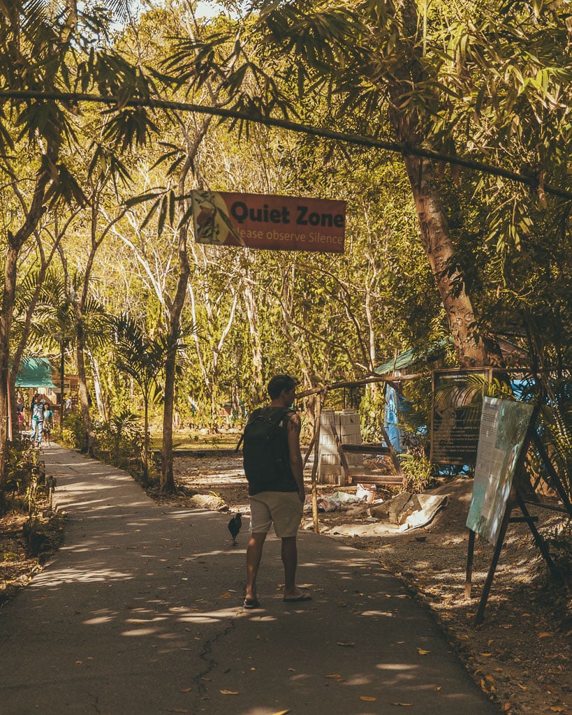 Tarsier Sanctuary Bohol