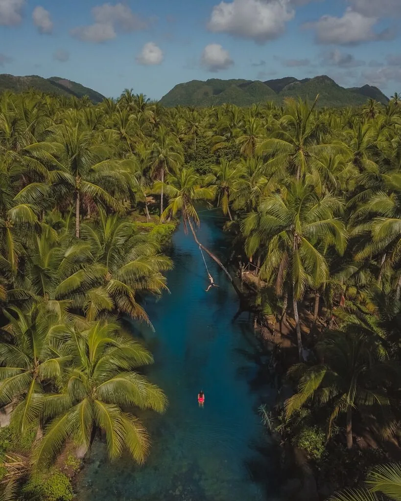 Siargao Palm Swing