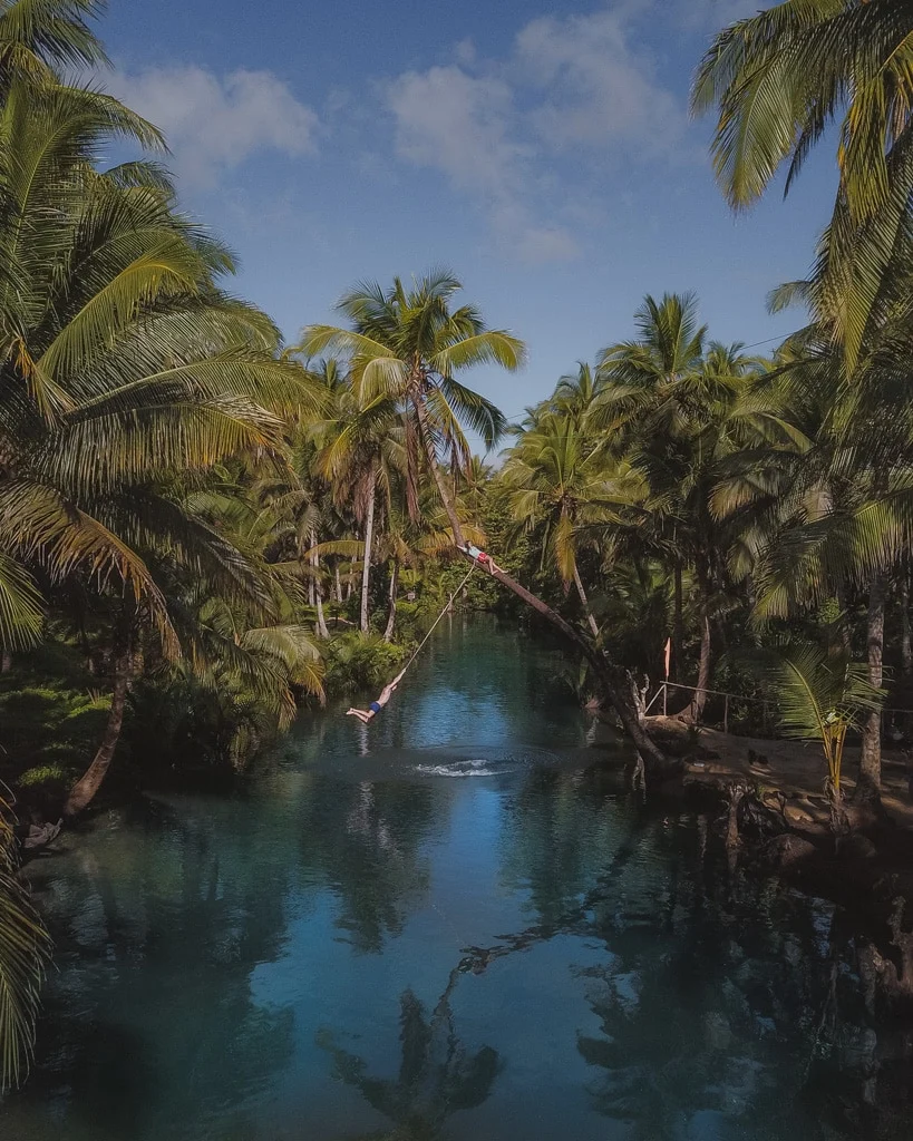 Siargao Palm Swing 6