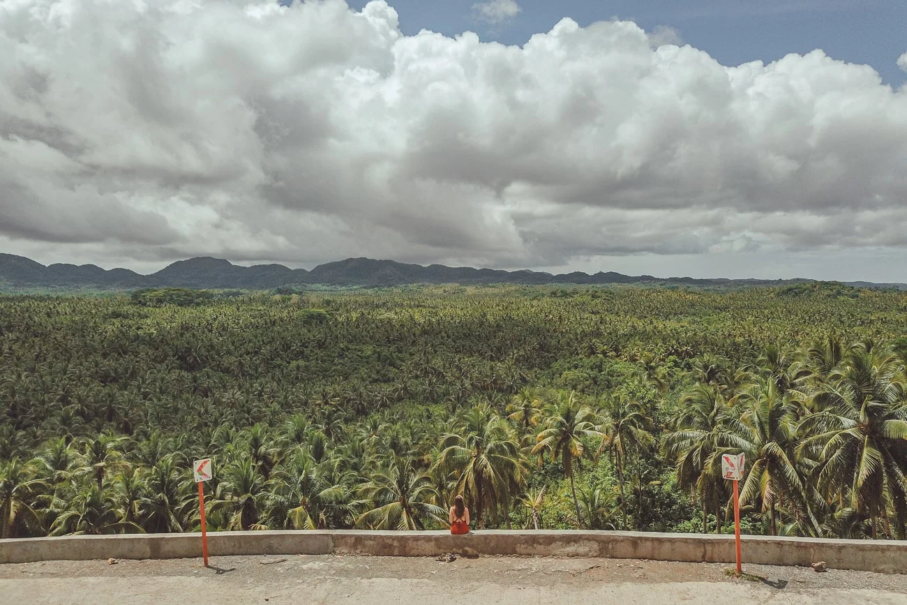 Siargao Palm View