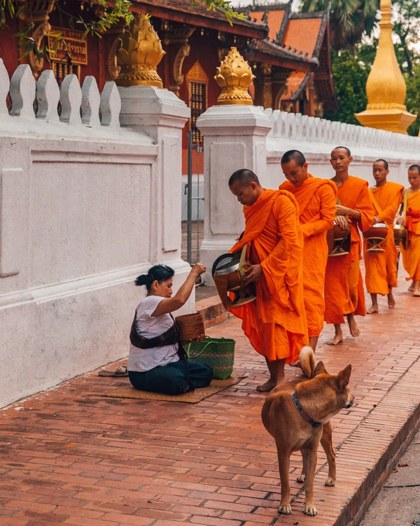 Alms giving Luang Prabang 16