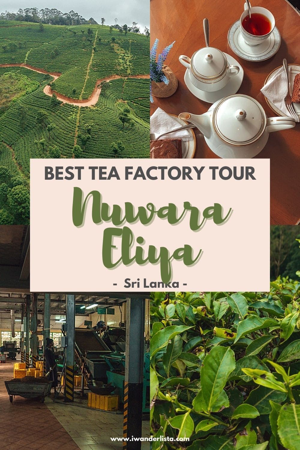 Nuwara Eliya TEa Factory Damro