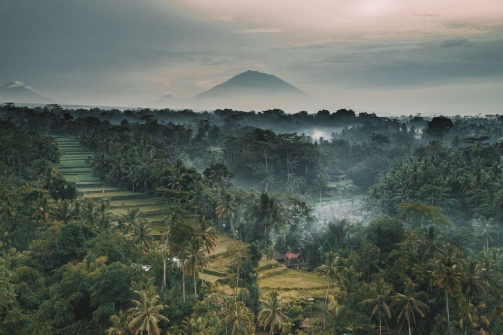 Bali travel guide