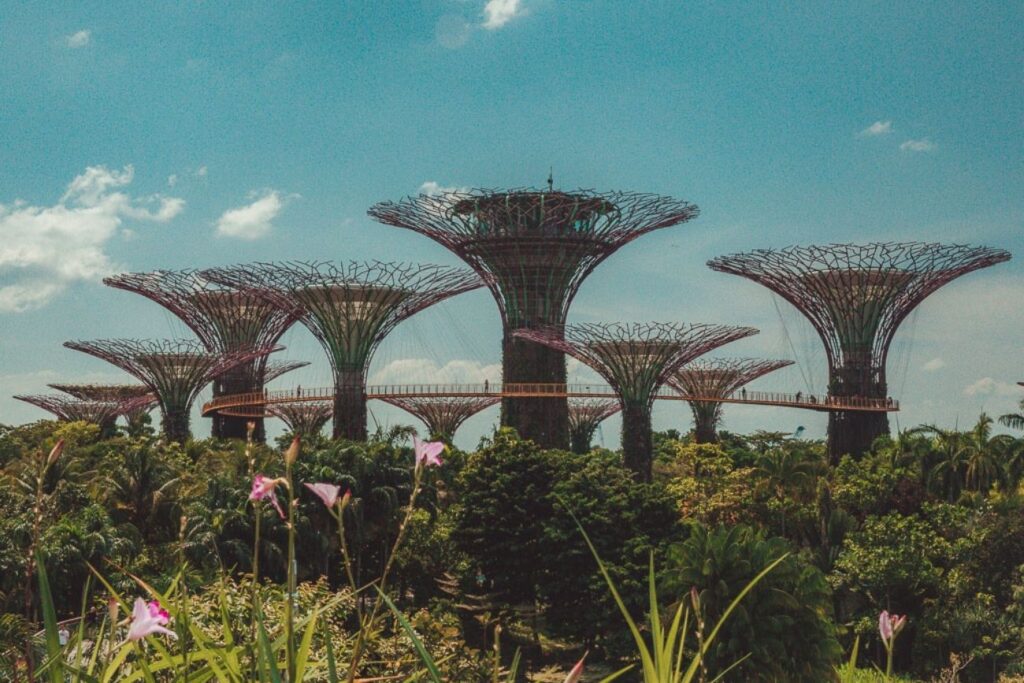 Singapore travel guide