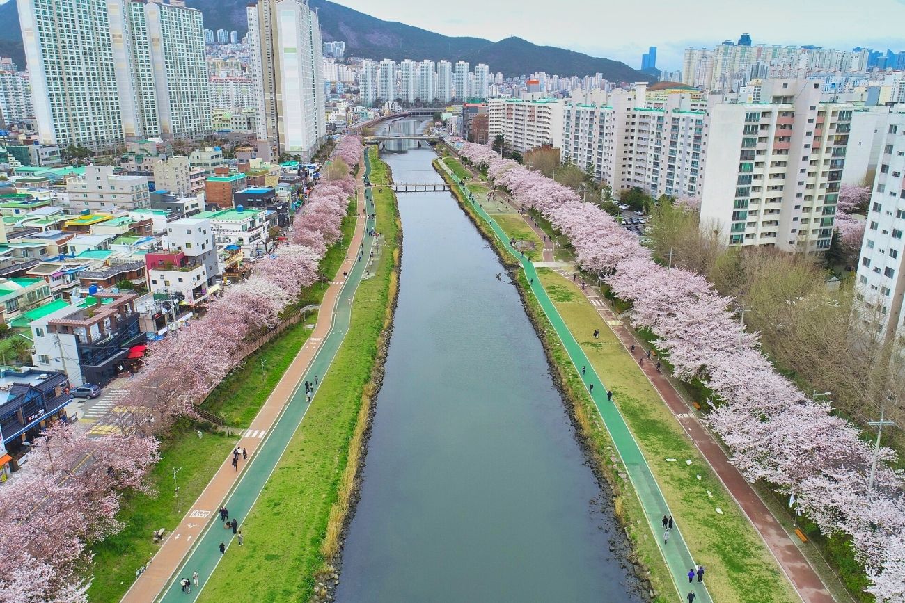 Oncheoncheon Stream