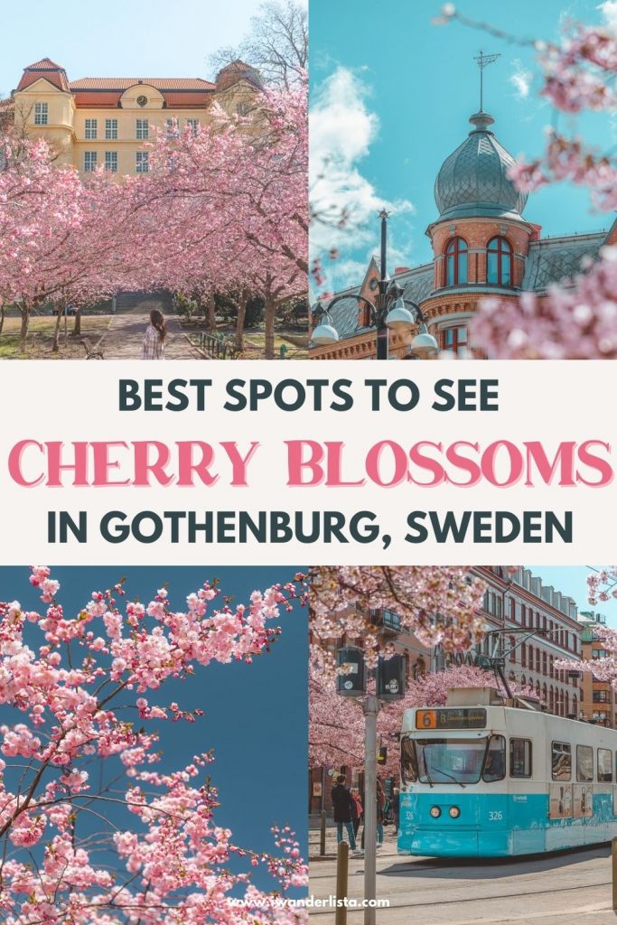 Cherry blossom spots gothenburg