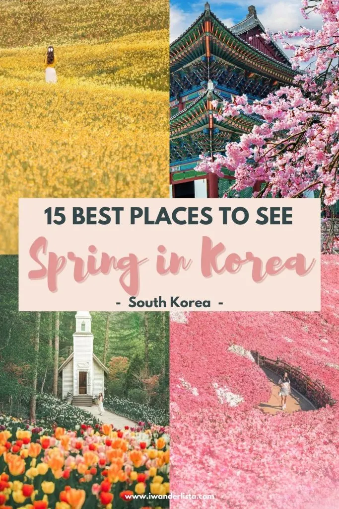 Korea during spring pin