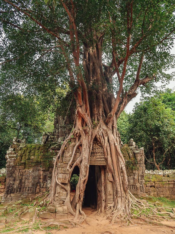 Angkor Wat Siem Reap 1
