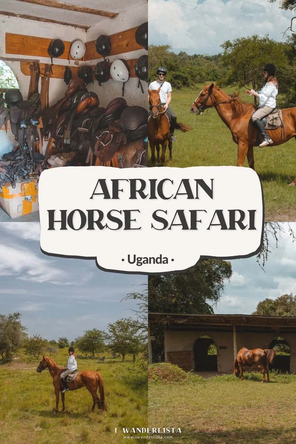 African horse safari pin 1