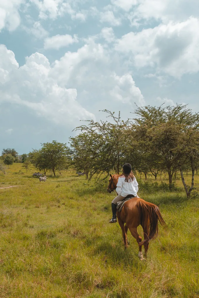 Horseback safari Africa 15