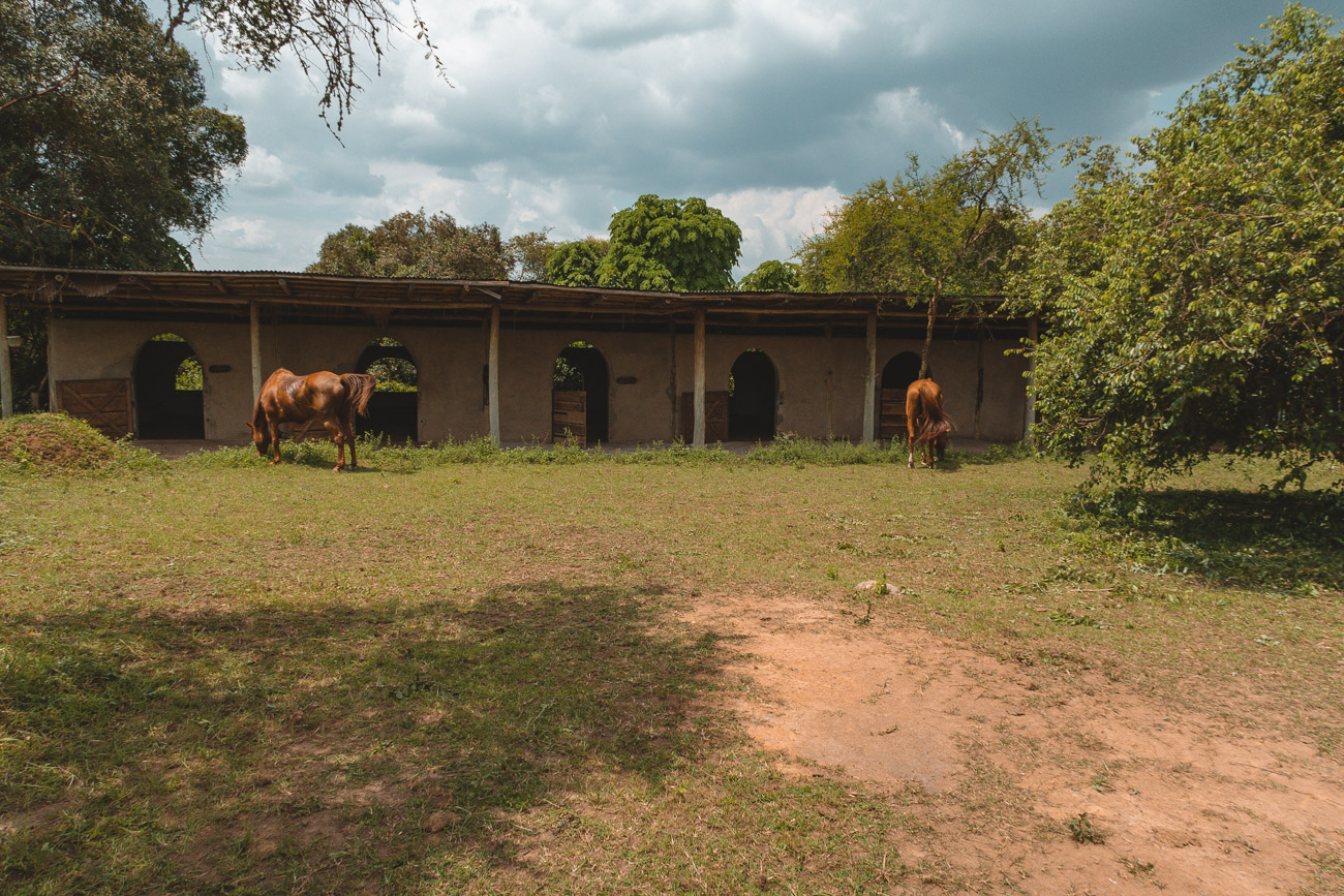 Horseback safari Africa 22