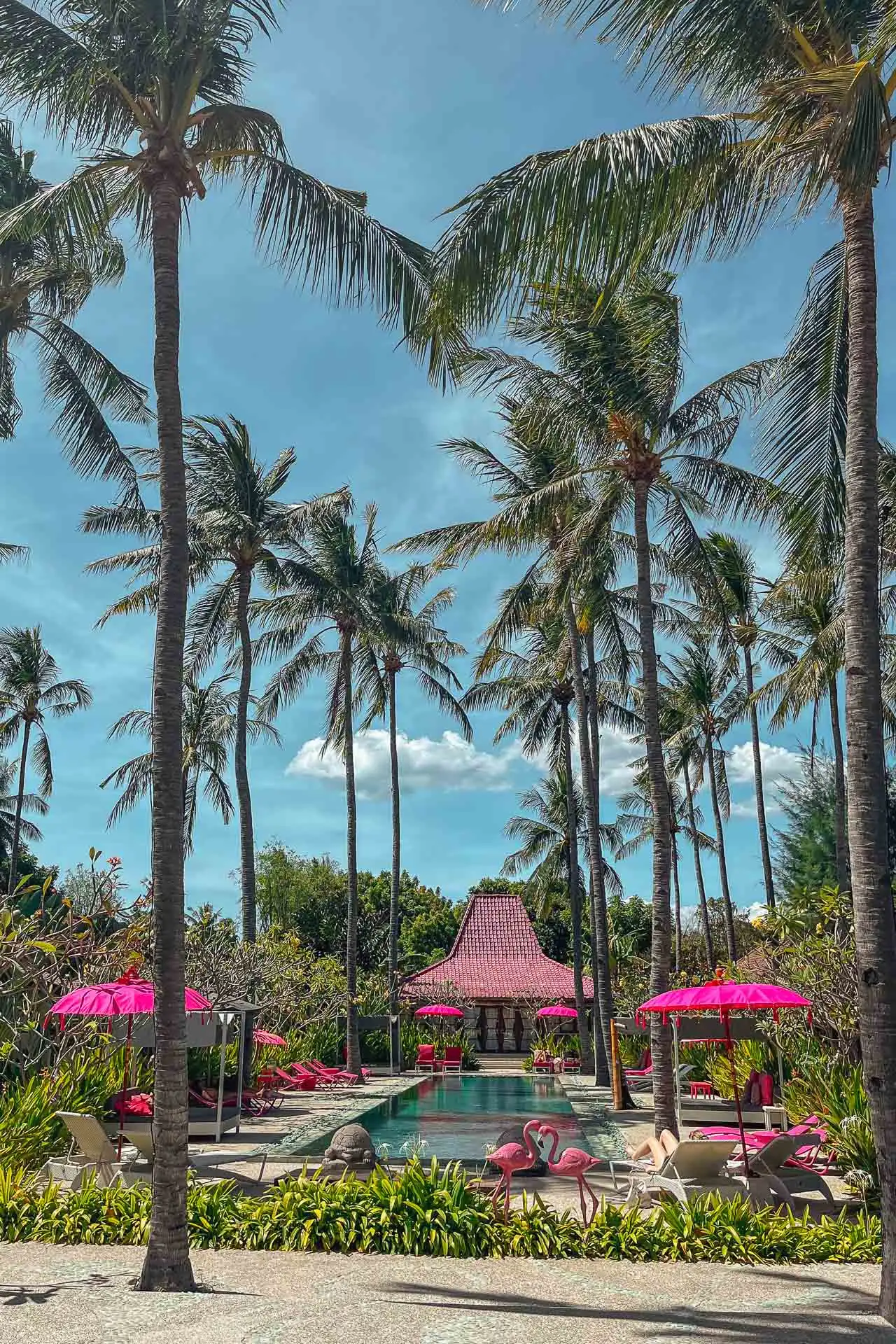 Pink Coco Gili Air 2