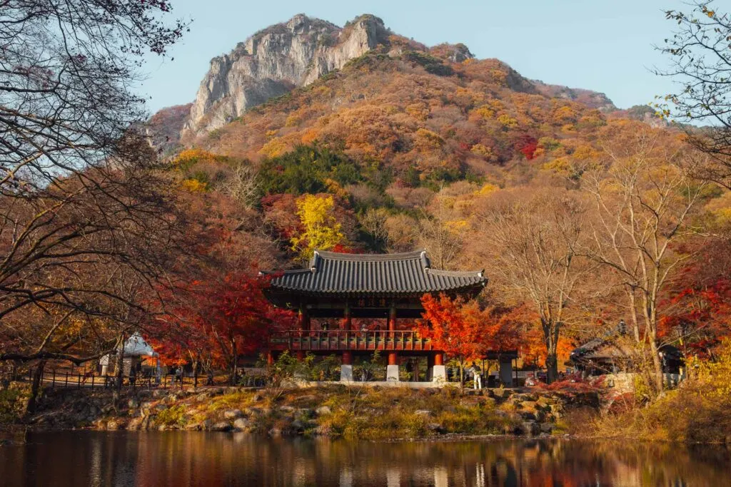 Autumn in korea