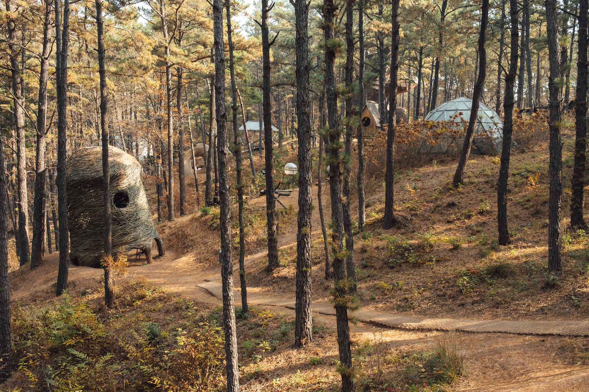 Geumgang Nature Art Biennale