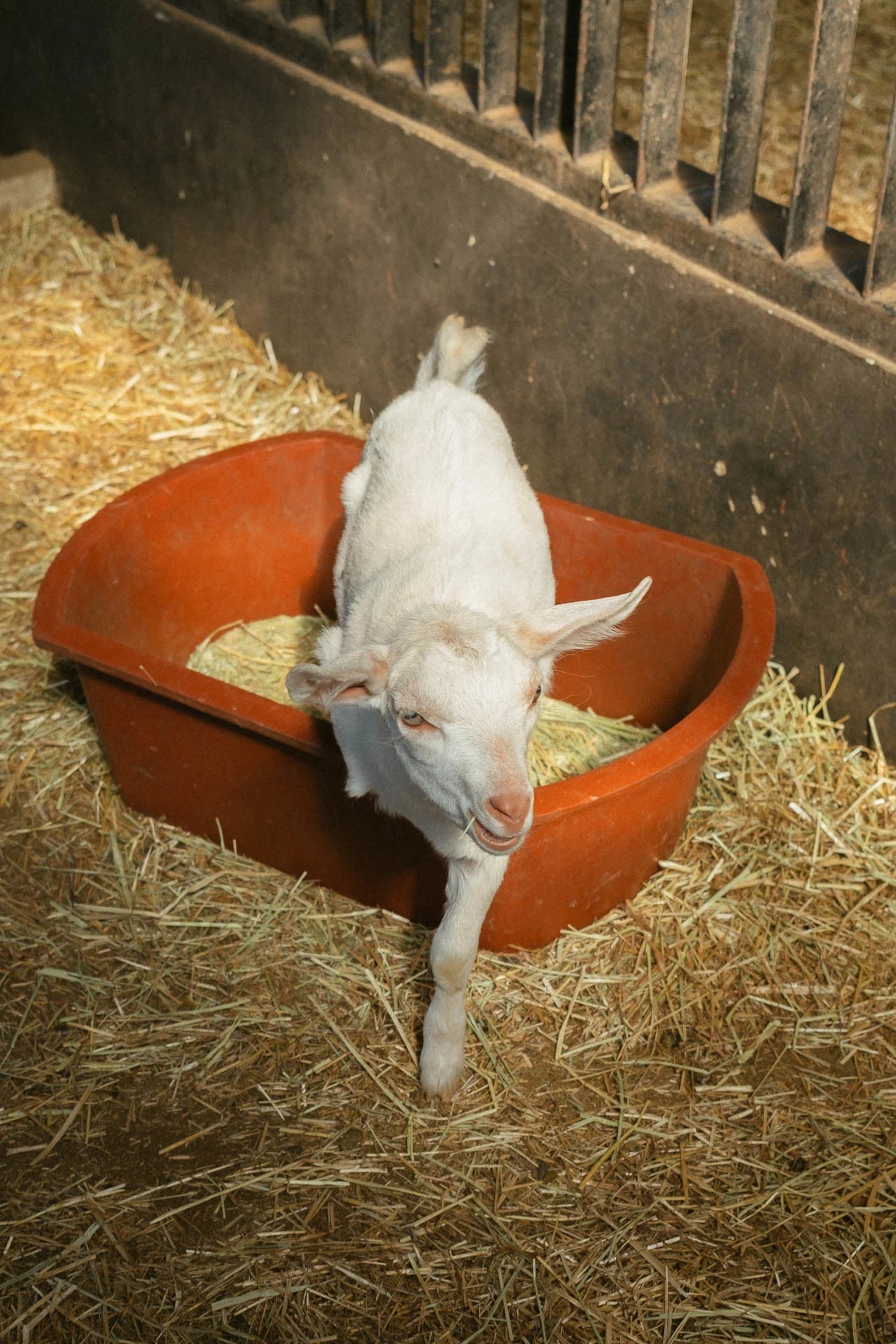 Hueree Nature Life Park Jeju 5