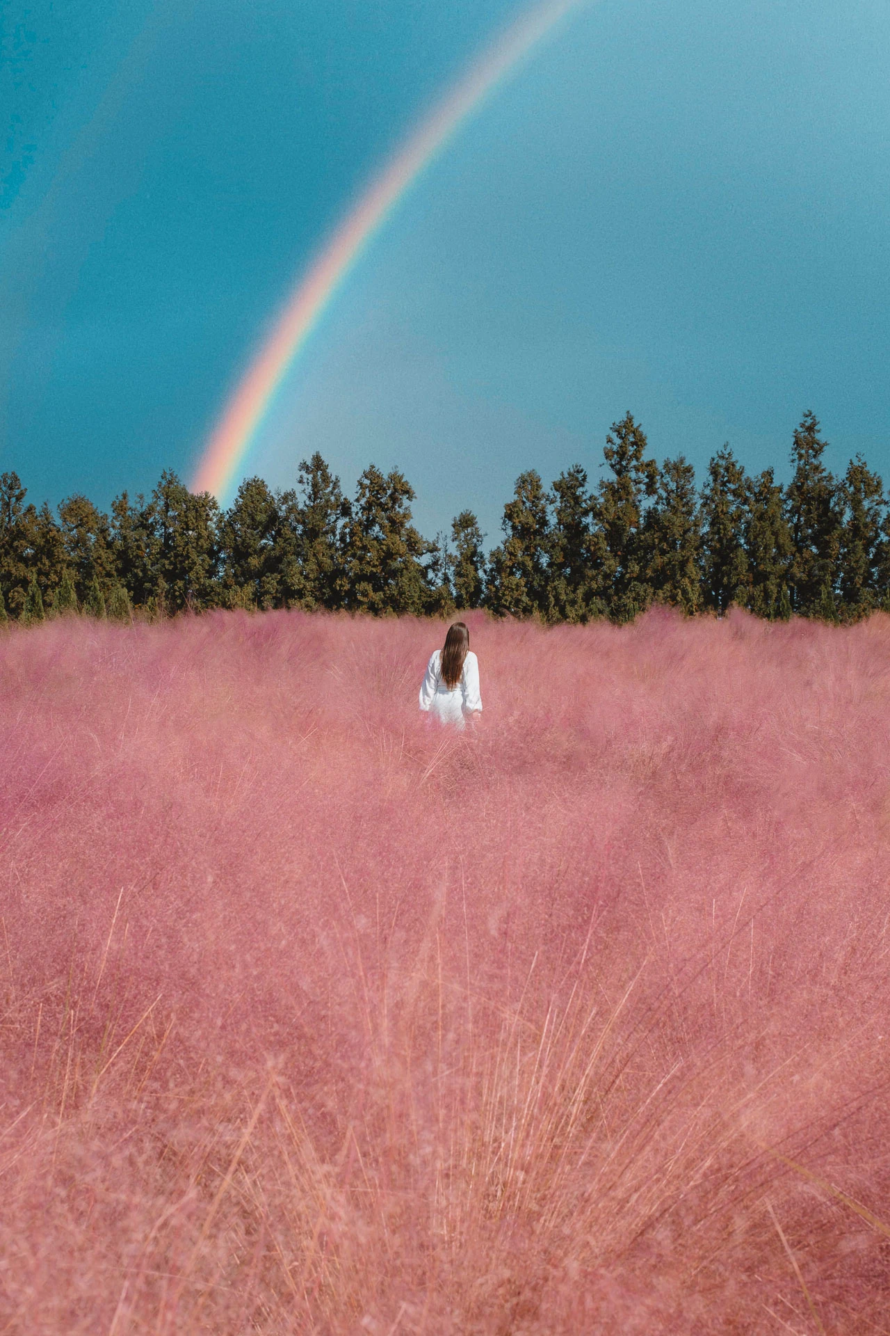 Hueree Nature Life Park Jeju 6