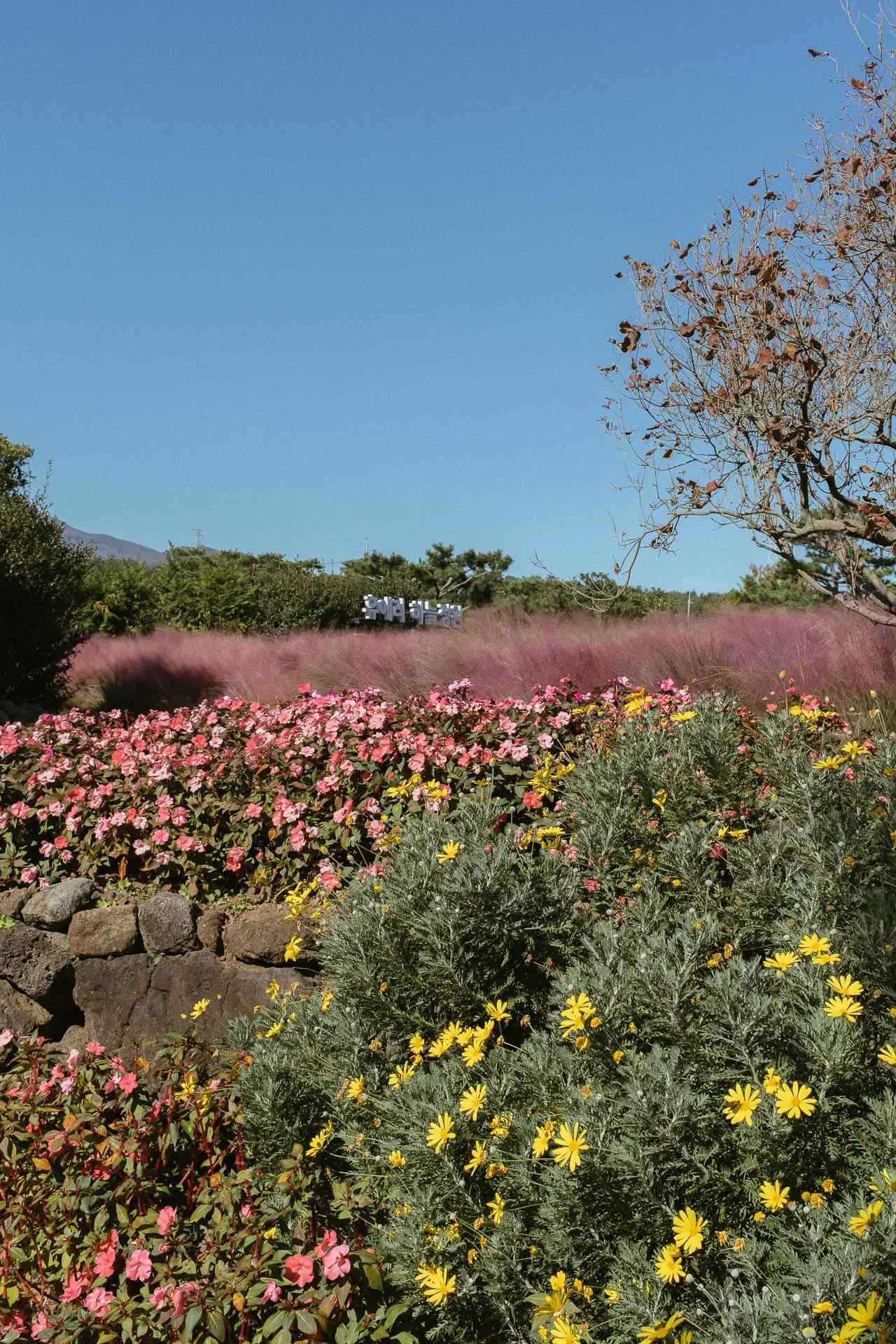 Hueree Nature Life Park Jeju 7