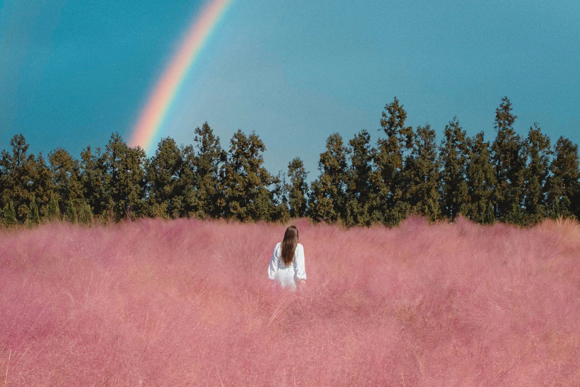 Jeju autumn jeju road trip