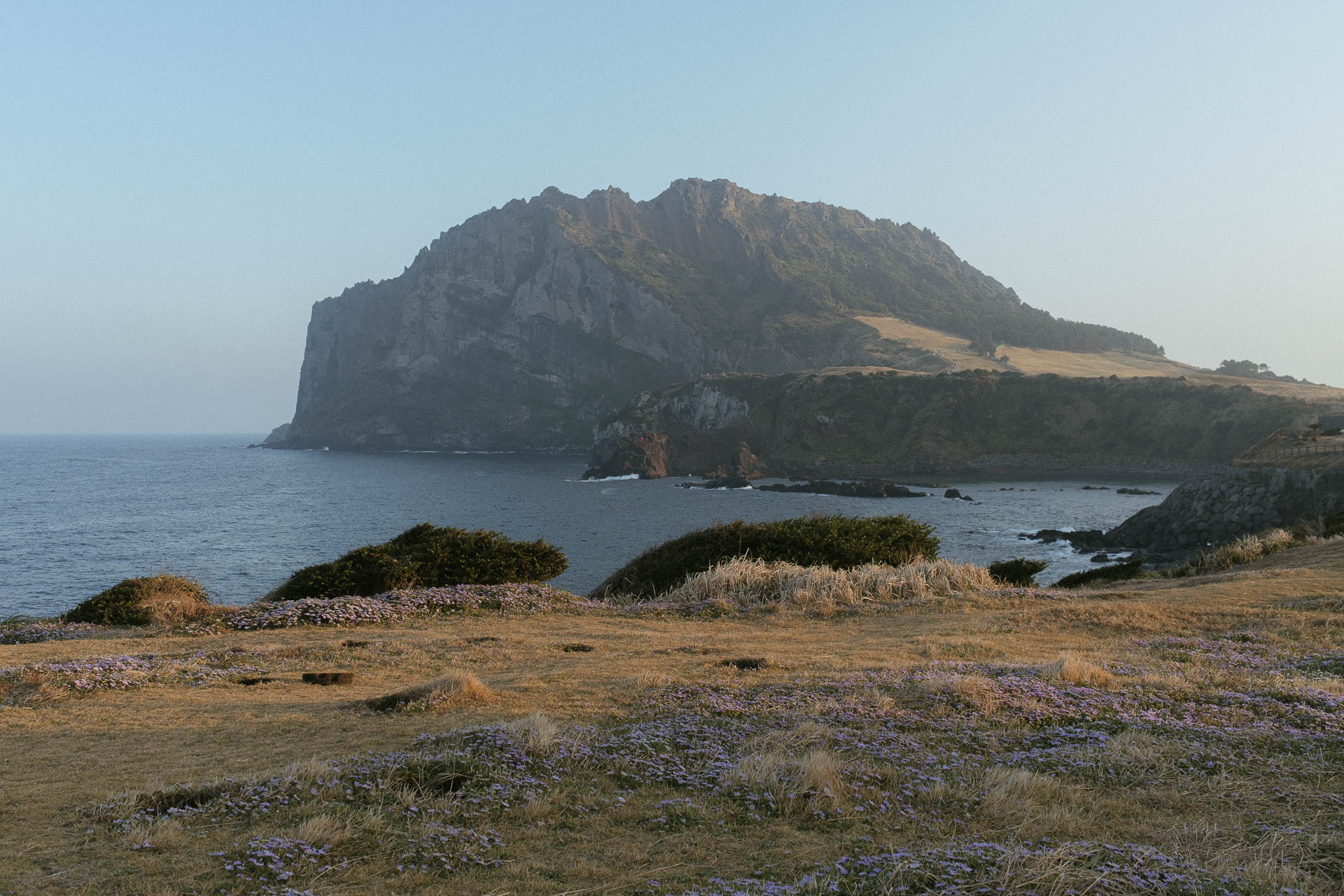 Jeju view