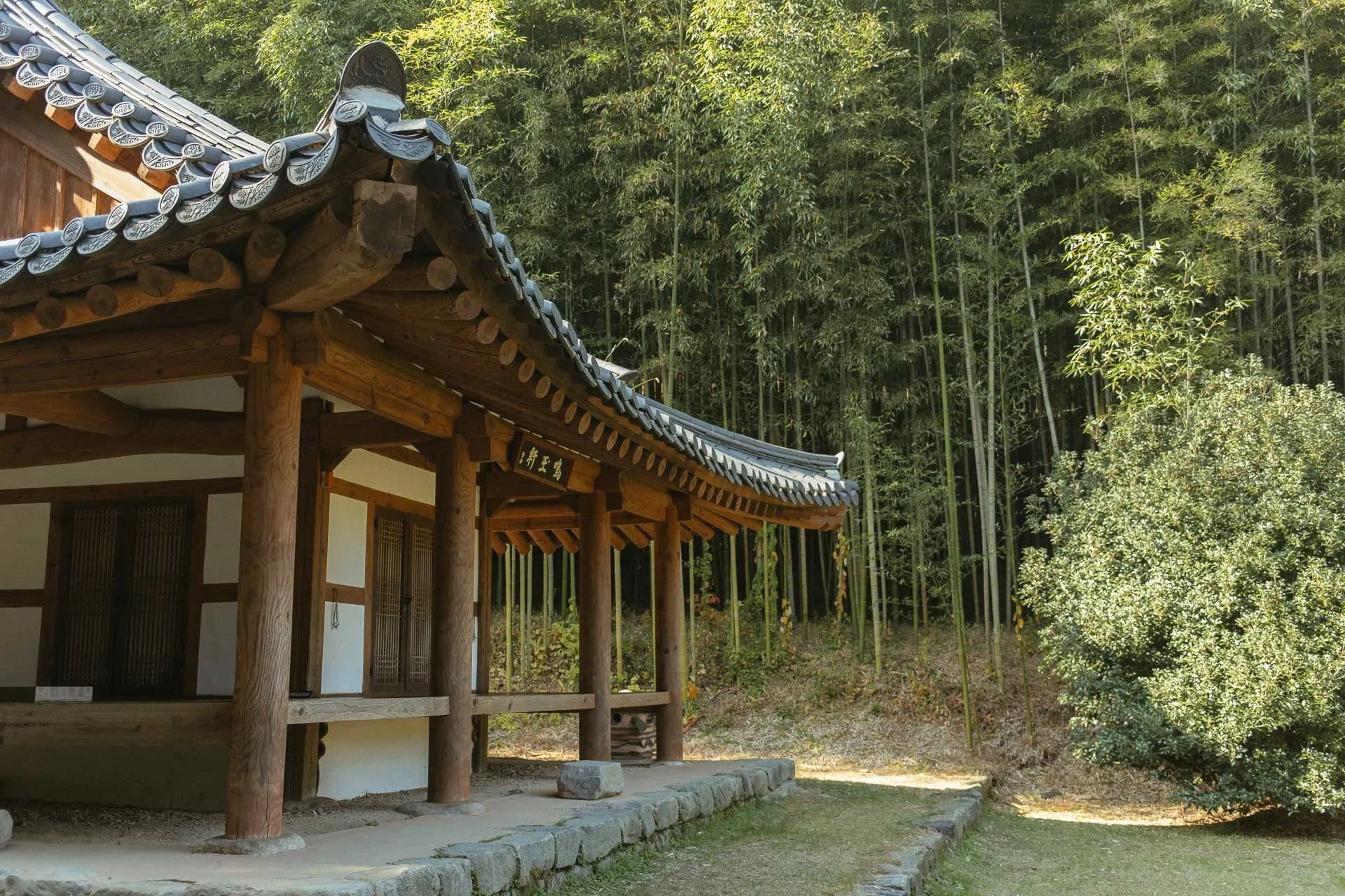 Juknokwon bamboo forest 2 1