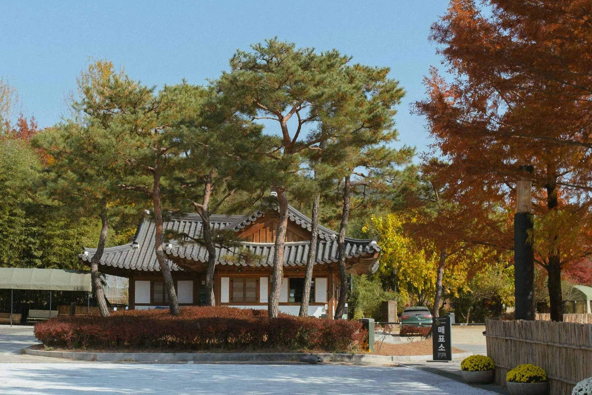 Juknokwon bamboo forest 4