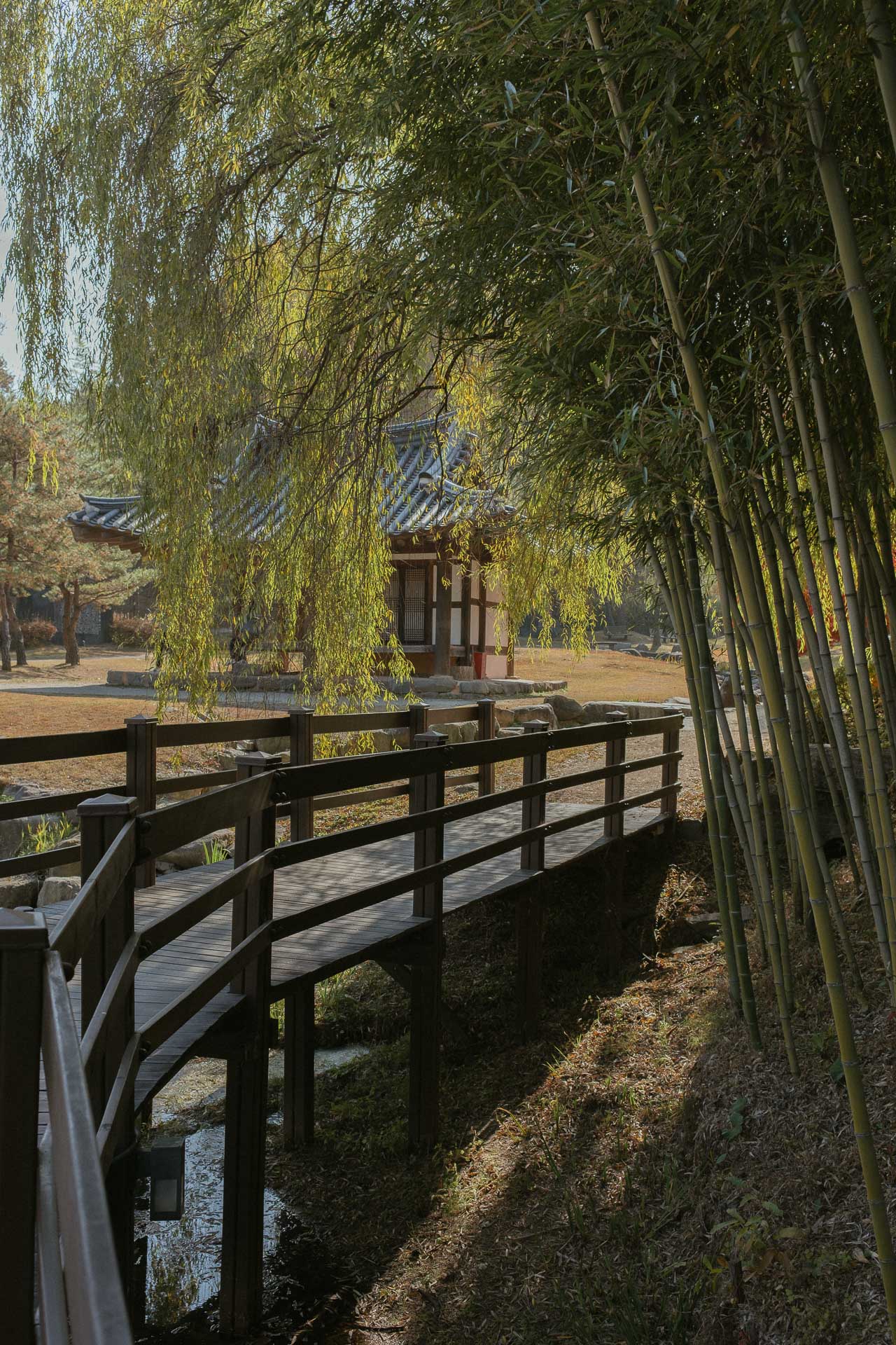 Juknokwon bamboo forest 5