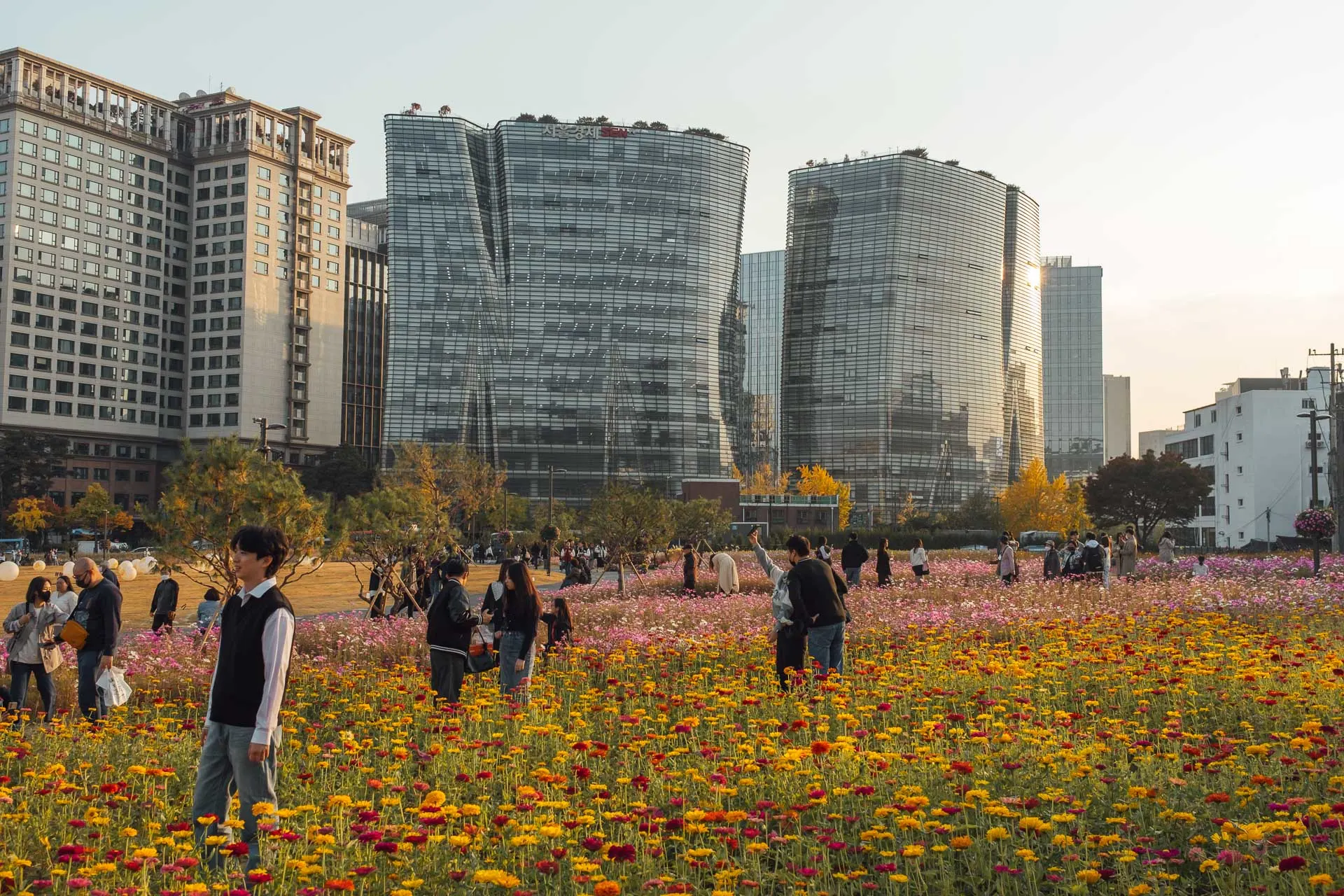 Seoul autumn