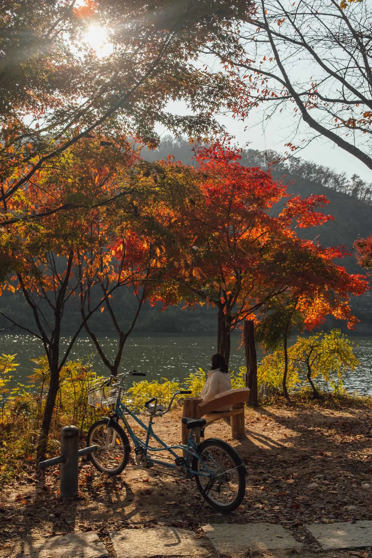 Nami Island Korea 21