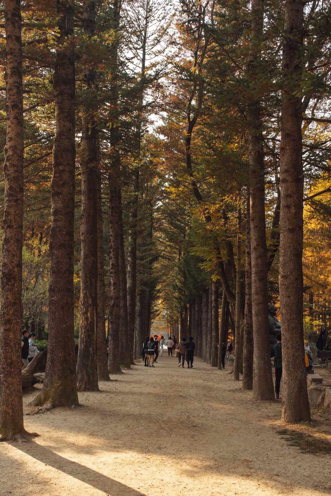 Nami Island Korea 27