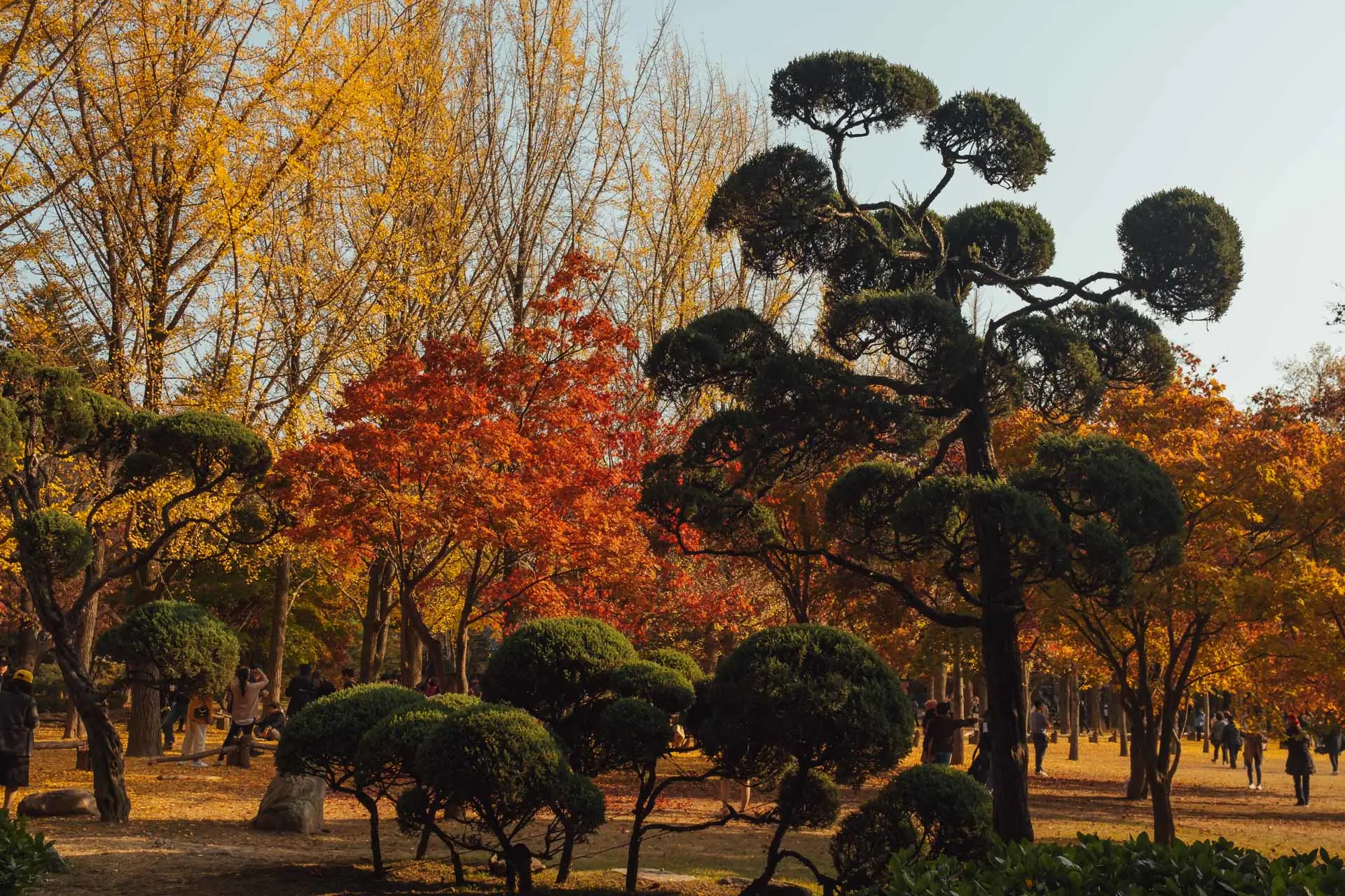 Nami Island Korea 28