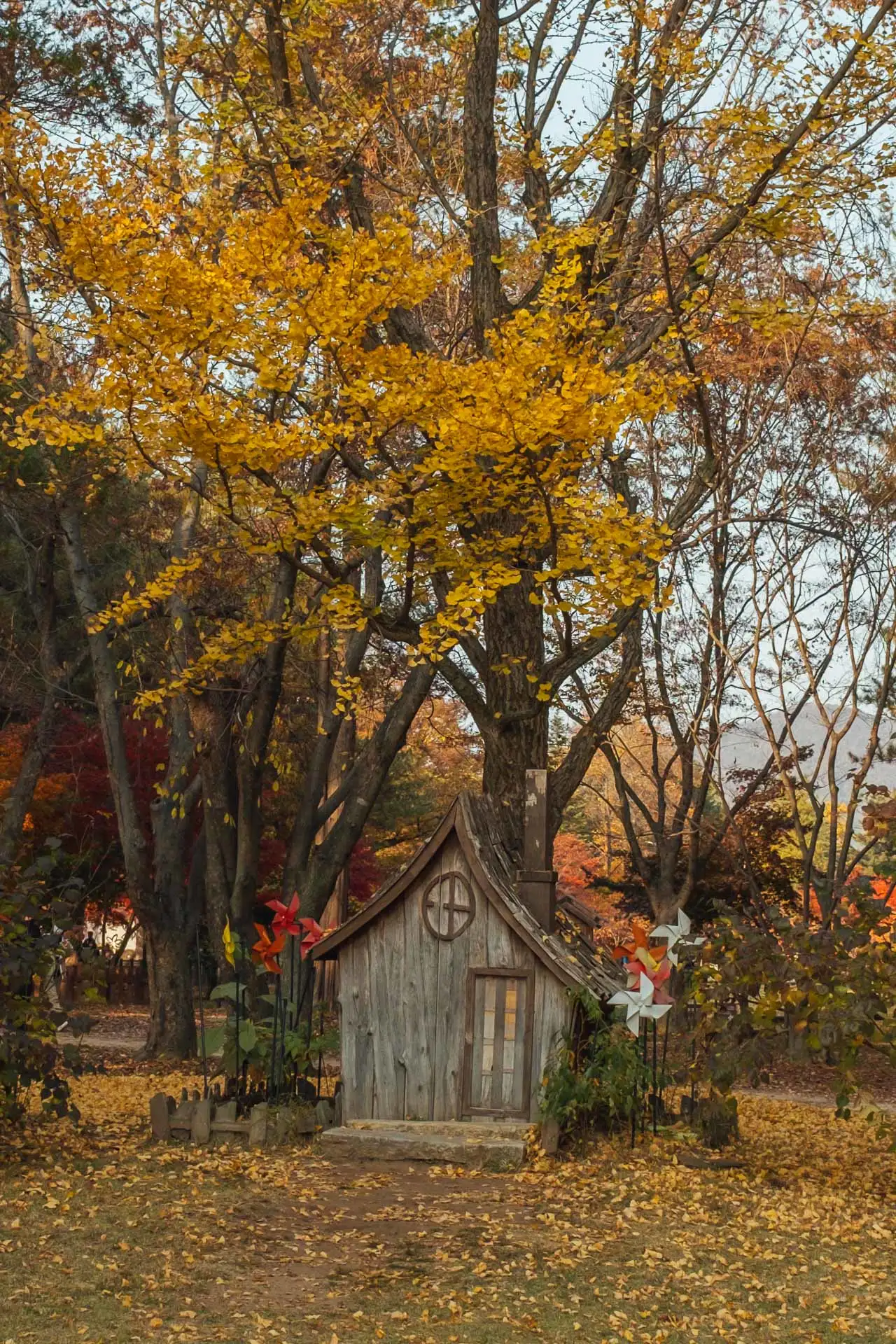 Nami Island Korea 34