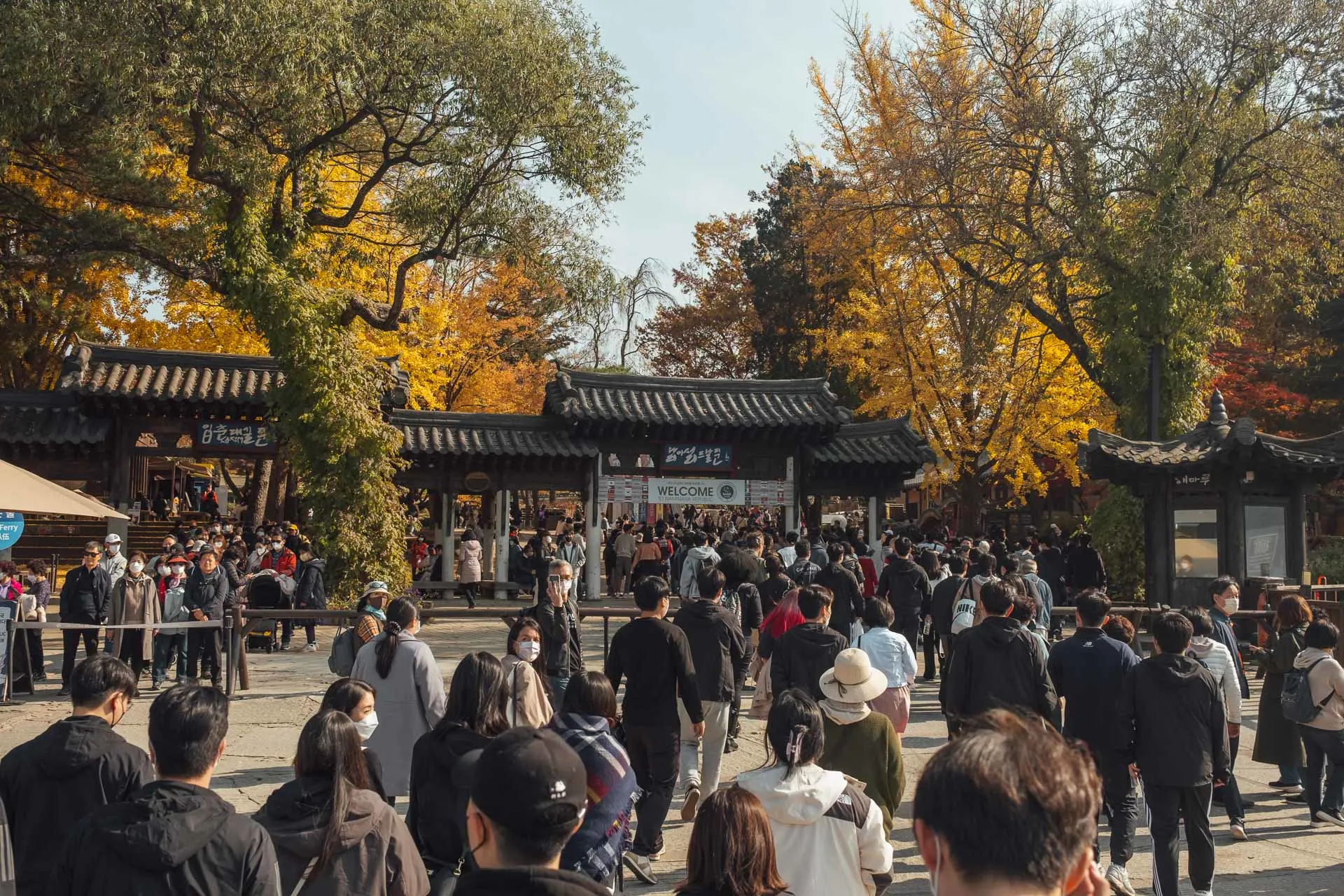 Nami Island Korea 4