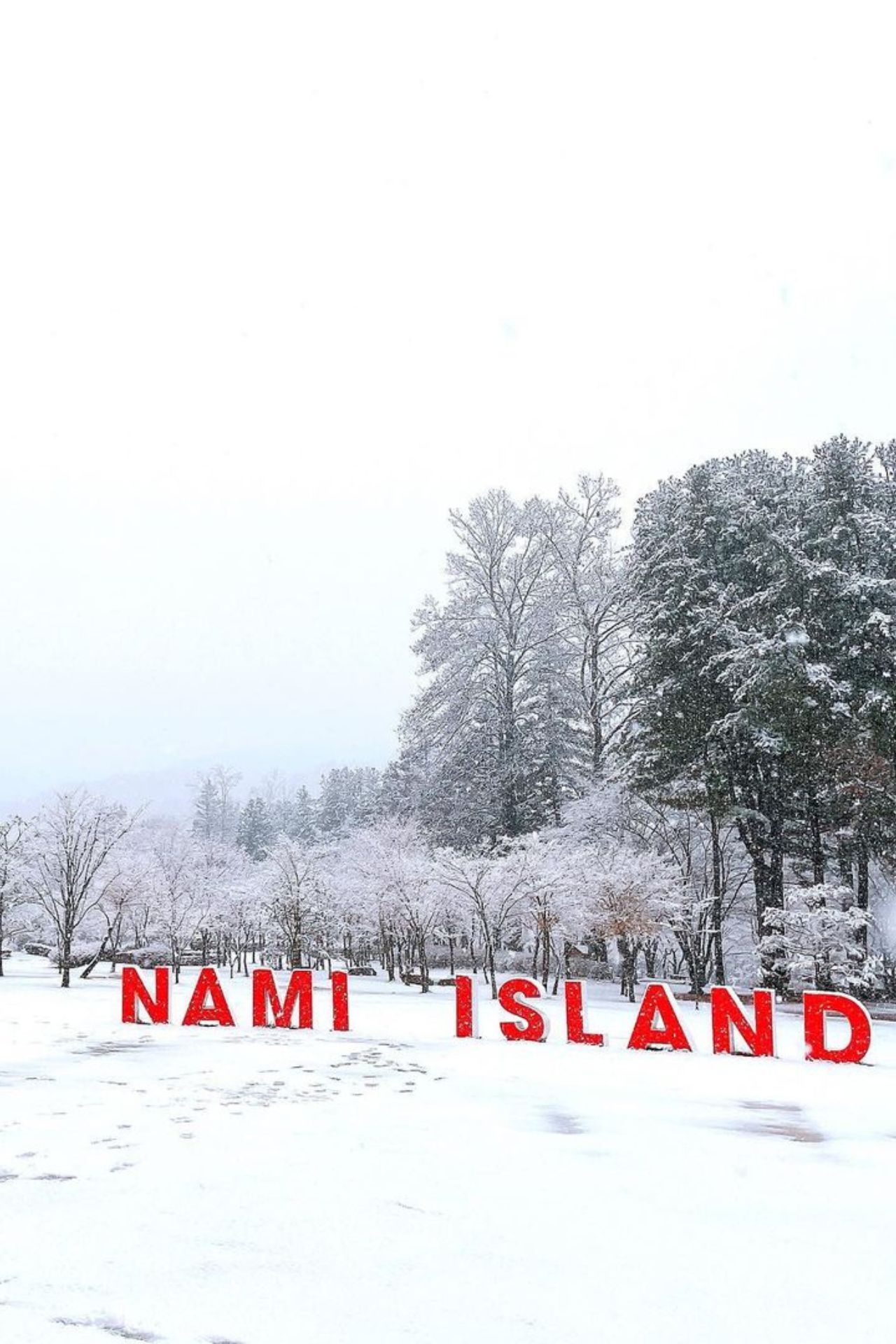 Nami Island winter 1 1