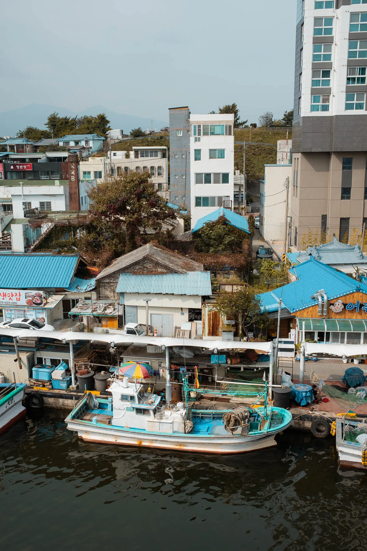 Sokcho fishing