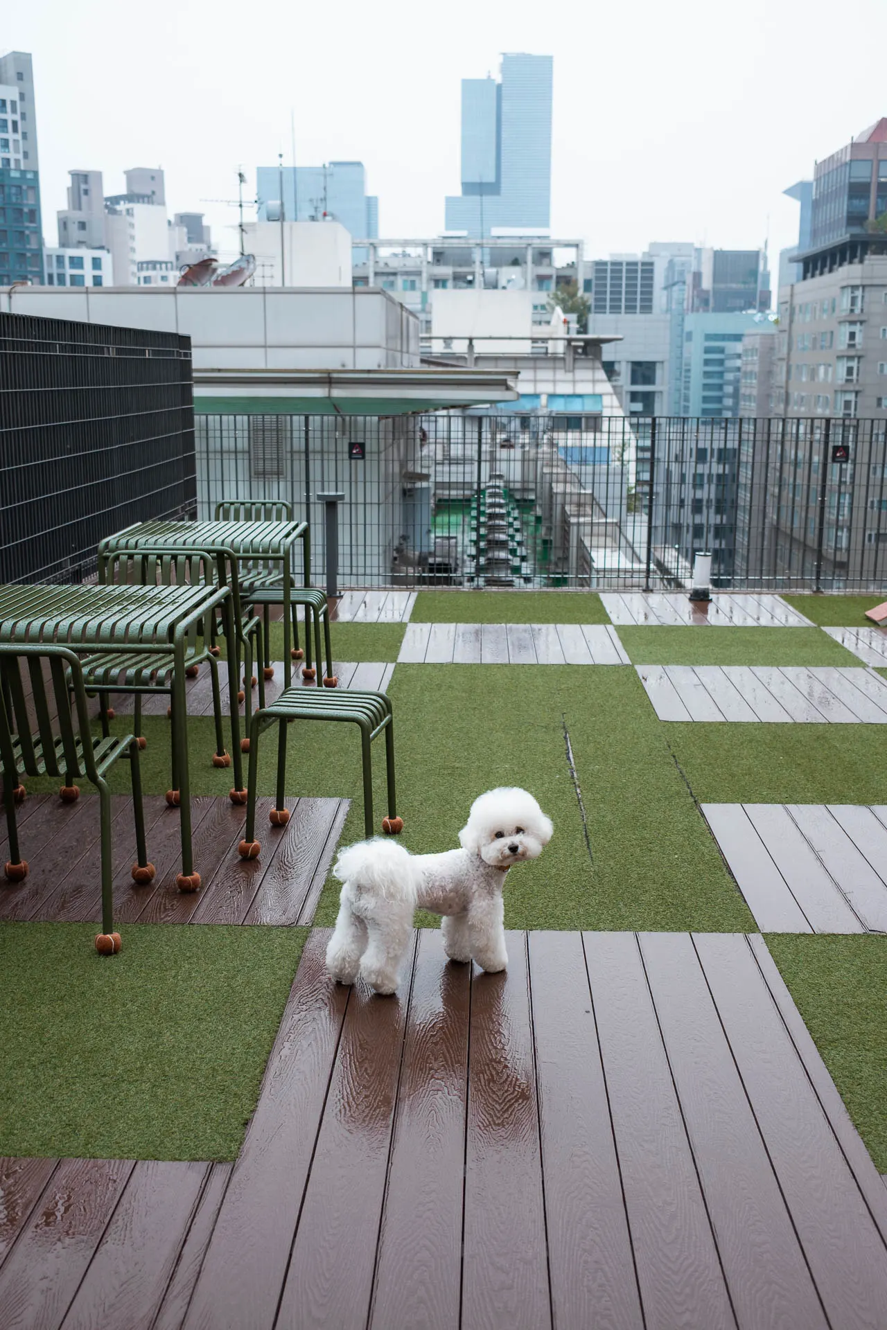 Pet area Seocho