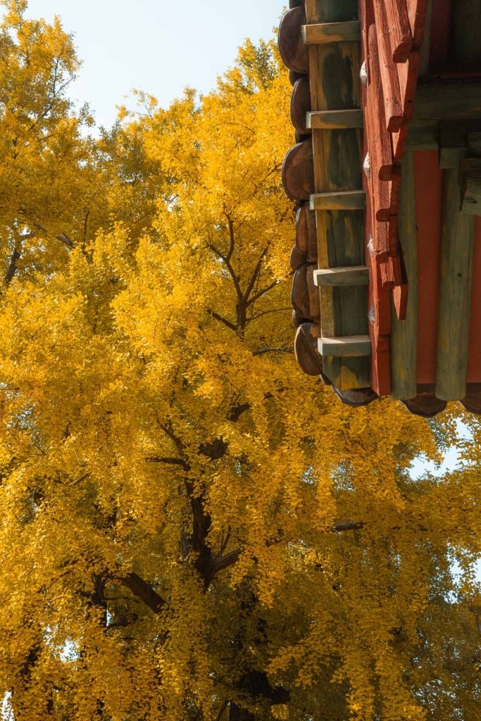 South Korea in October 21