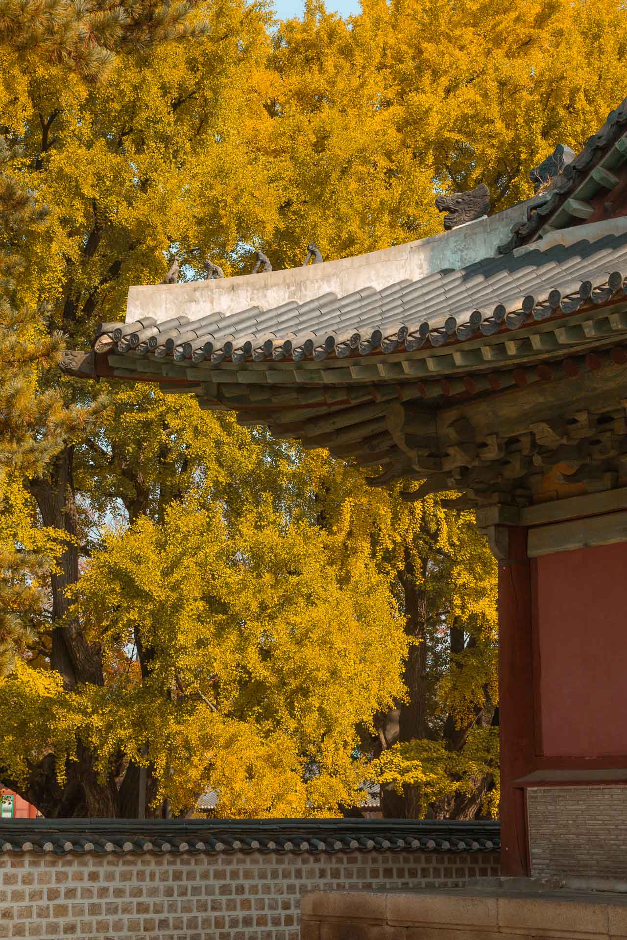 Korea in October