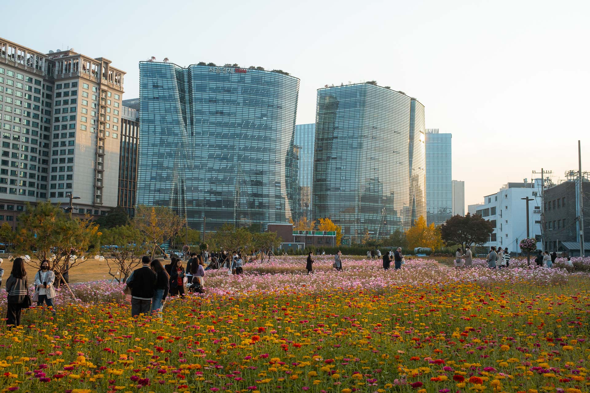 South Korea in October