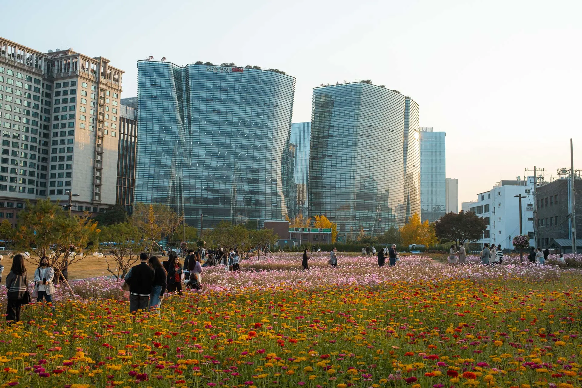 South Korea in October