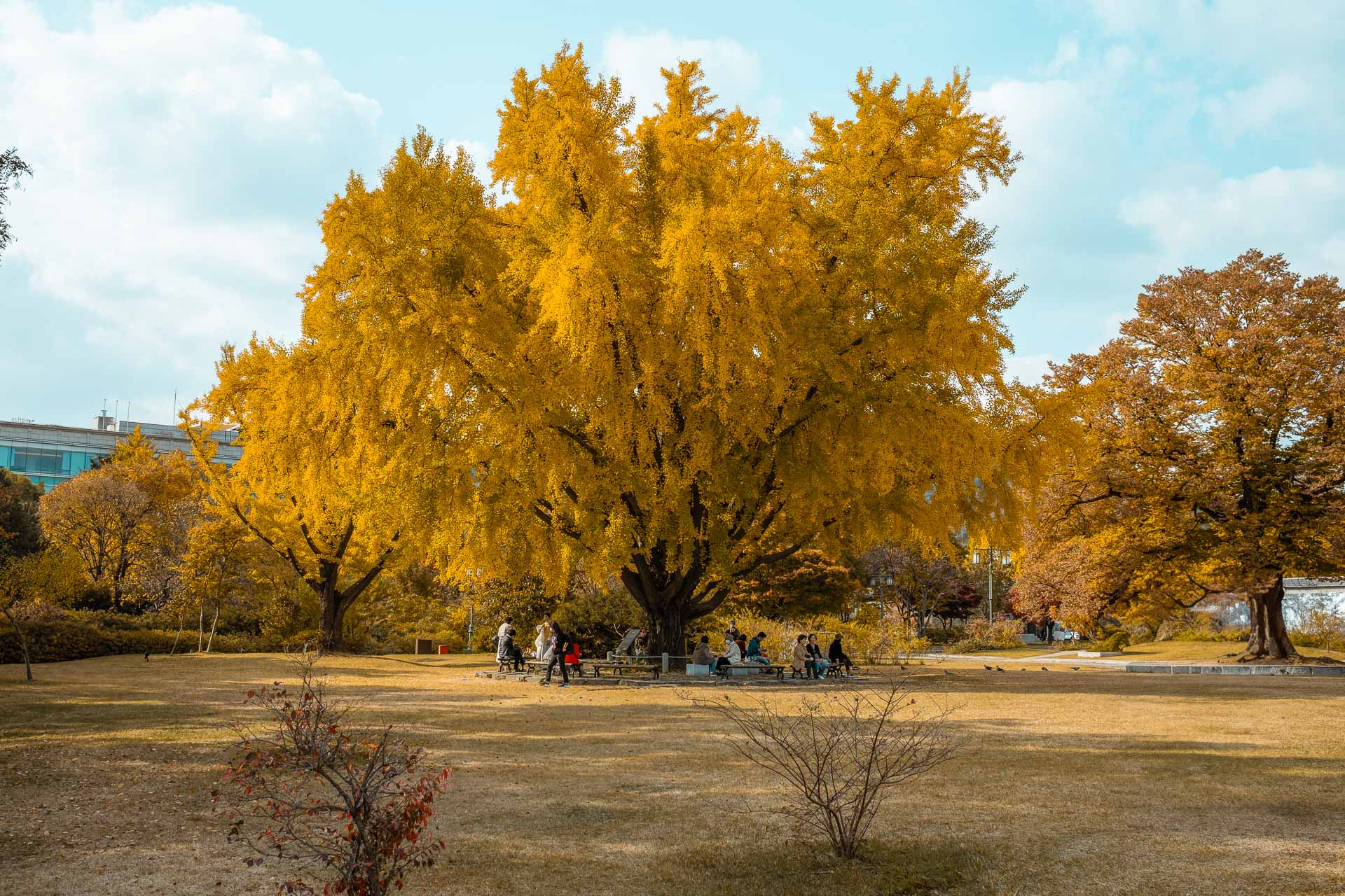 South Korea in October 34