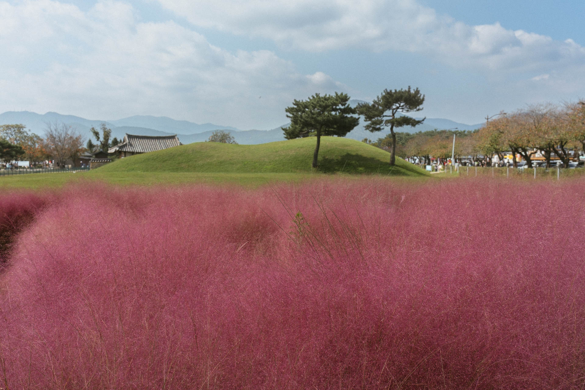 South Korea in October 38