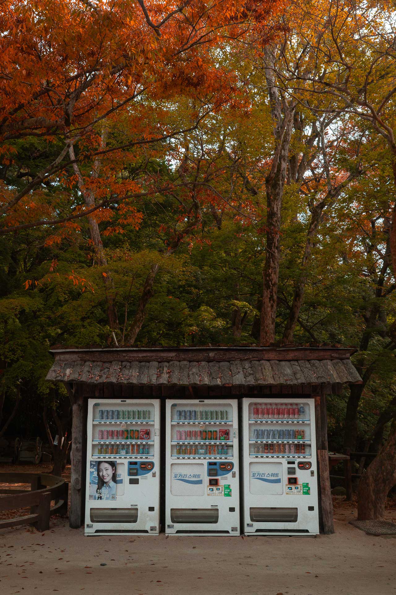 South Korea in October 8